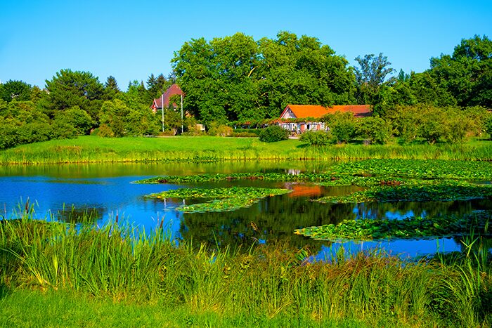Immobilien in Berlin-Dahlem — Villen, Reihenhäuser und Wohnungen zwischen Freier Universität und Botanischem Garten
