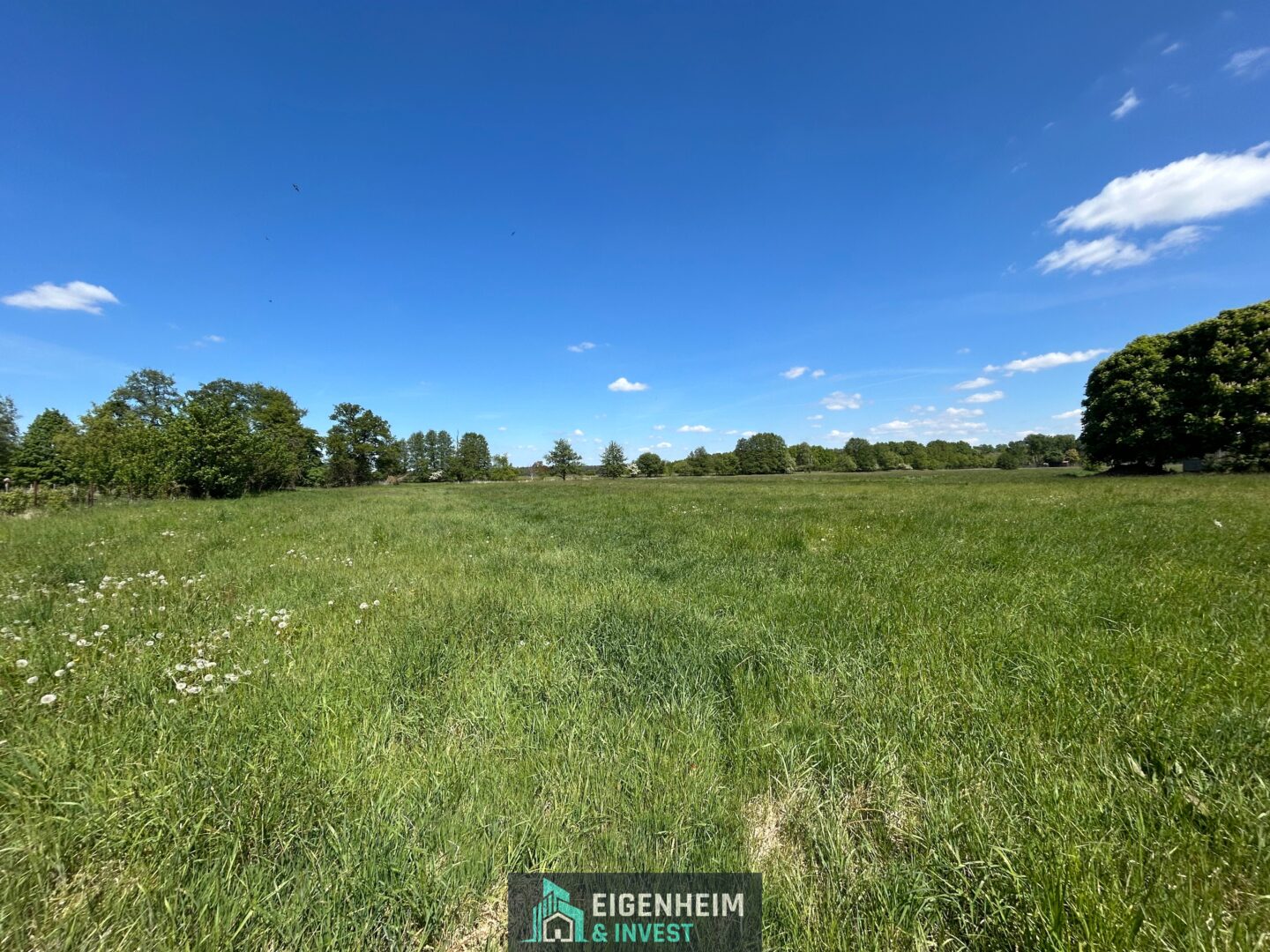 Feld