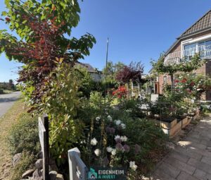 Einblicke in den Garten